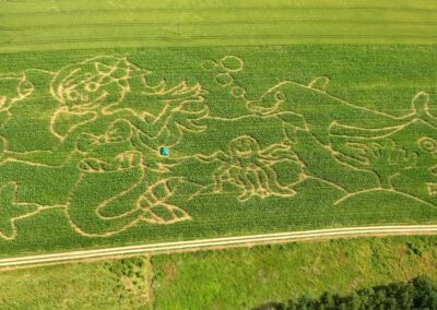 Maislabyrinth