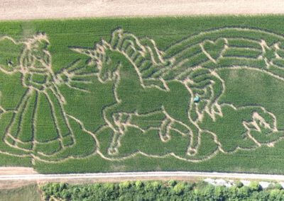 Maislabyrinth